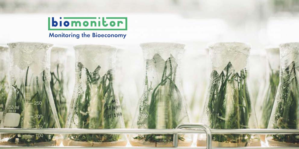 How do we best capture the existing European Bioeconomy? 